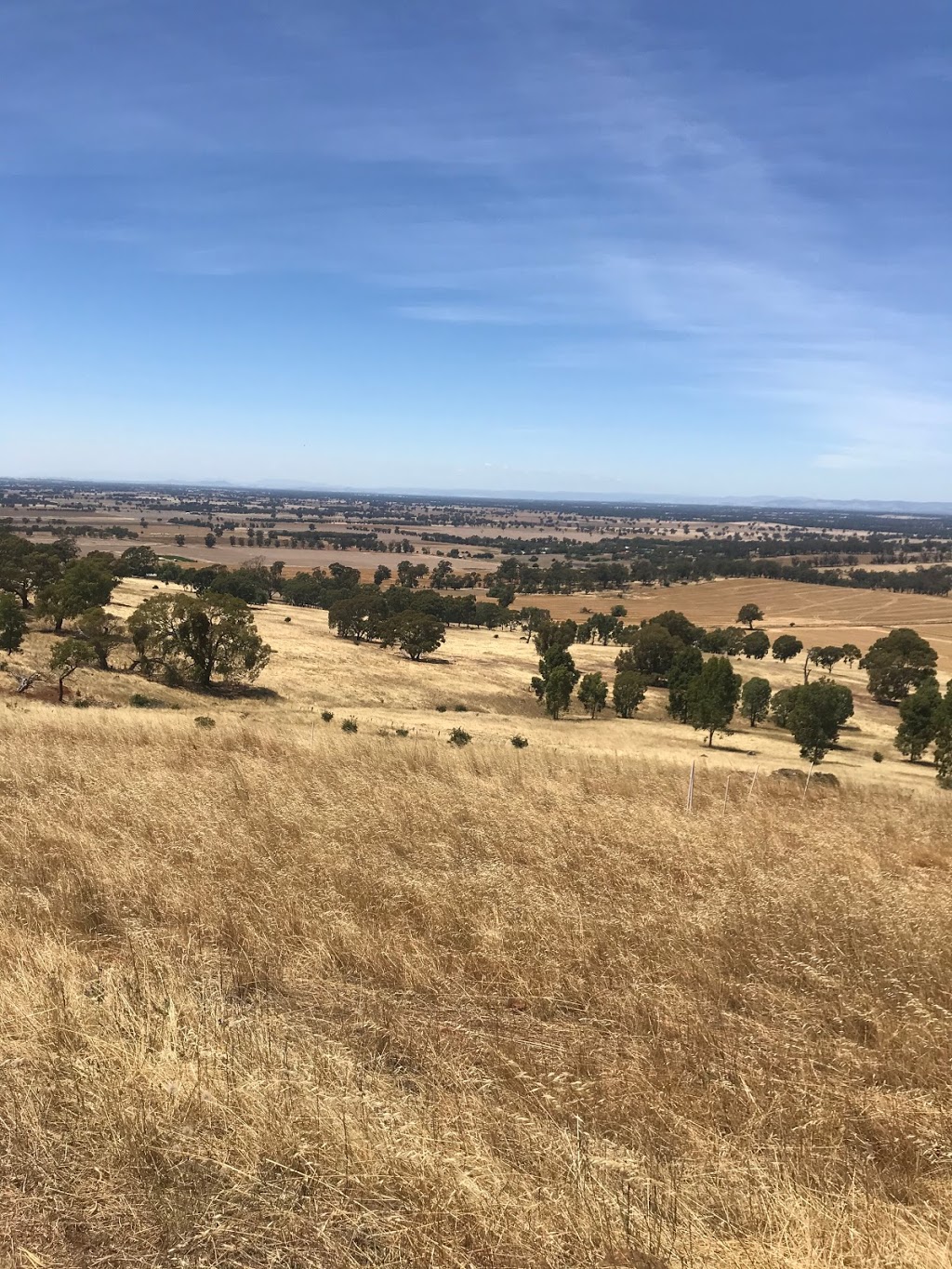 Mount Major Mountain Bike Track | 160 Mt Major Tv Rd, Mount Major VIC 3646, Australia | Phone: 0409 291 456