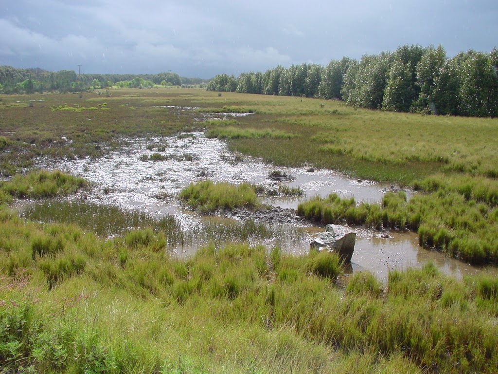 Kooragang Wetland Rehabilitation Project | park | Schoolhouse Road, Newcastle NSW 2322, Australia