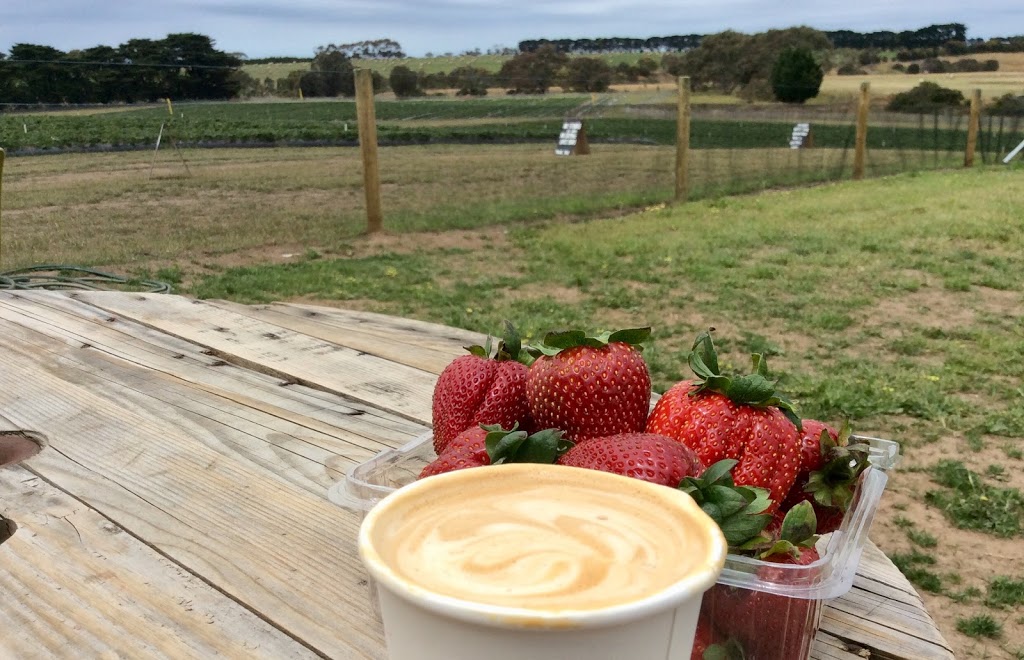 Surf Coast Strawberry Fields | store | 2 McCanns Road, Surf Coast Hwy, Mount Duneed VIC 3217, Australia