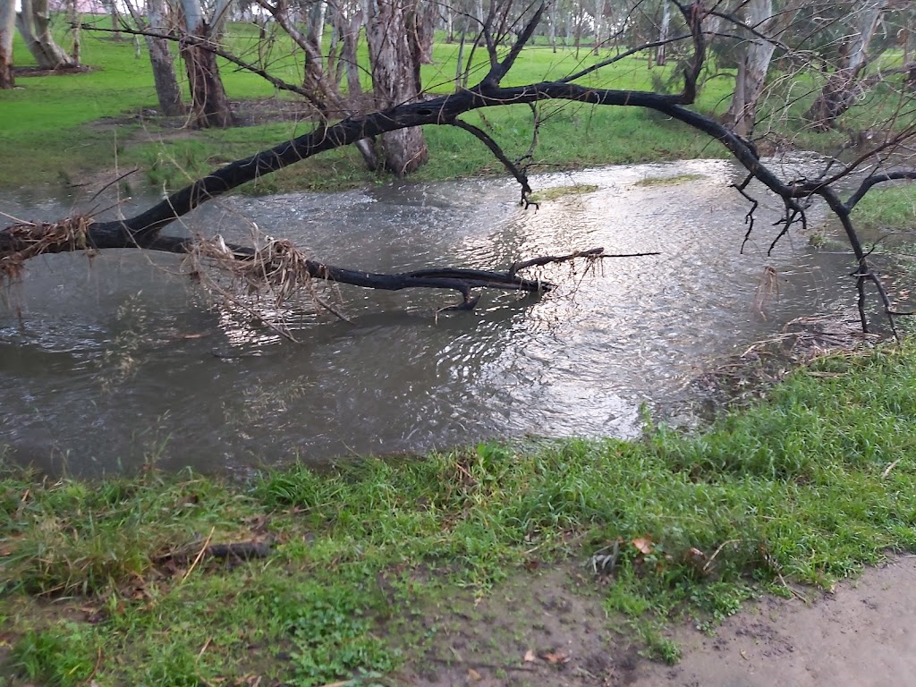 Linear Park Windsor Grove Playground | Windsor Grove, Windsor Gardens SA 5087, Australia | Phone: (08) 8405 6600