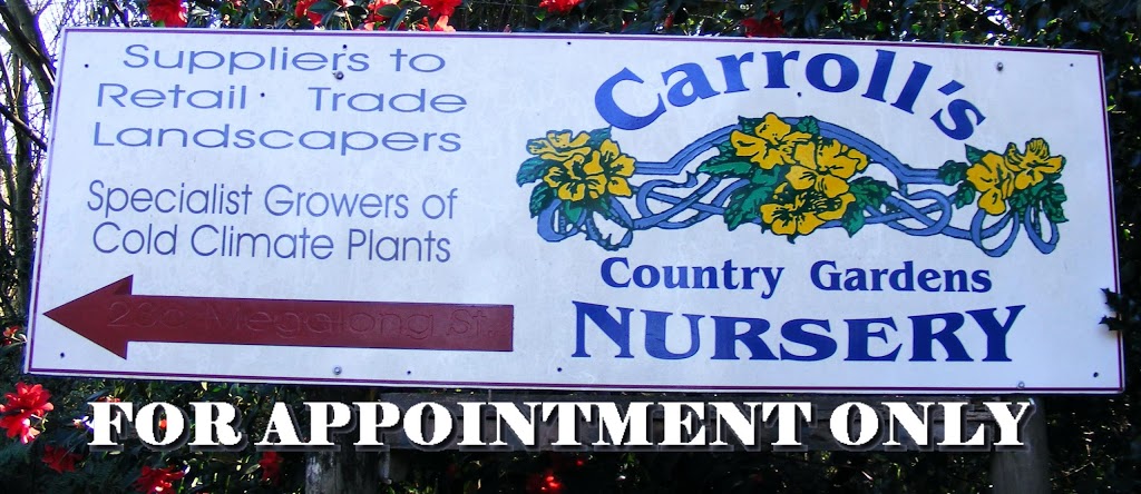 Carrolls Country Gardens Nursery | park | 60 Bells Line of Rd, Mount Tomah NSW 2758, Australia | 0245672009 OR +61 2 4567 2009