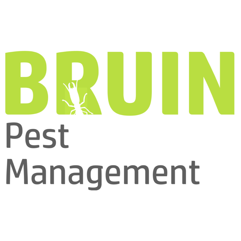 Bruin Pest Management | home goods store | 5 Kiama St, Wavell Heights QLD 4012, Australia | 1300349177 OR +61 1300 349 177