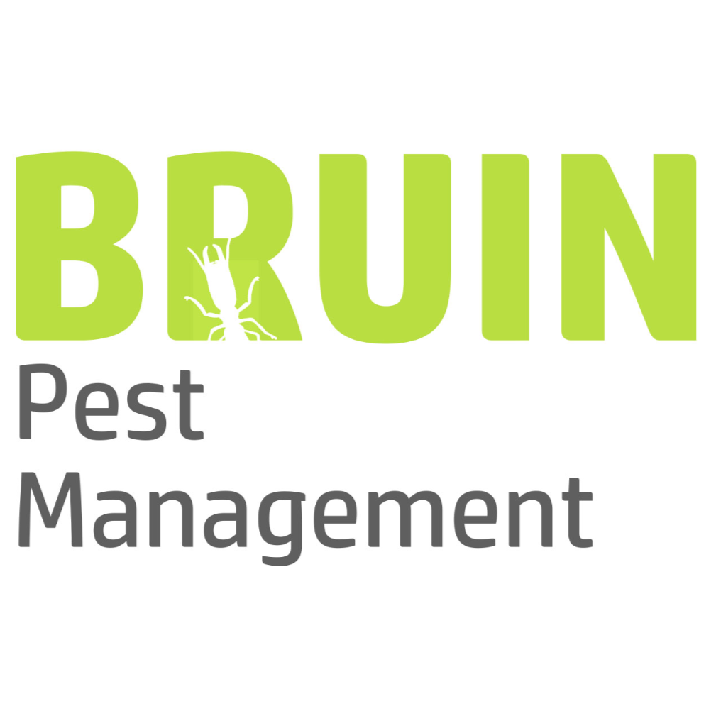 Bruin Pest Management | 5 Kiama St, Wavell Heights QLD 4012, Australia | Phone: 1300 349 177