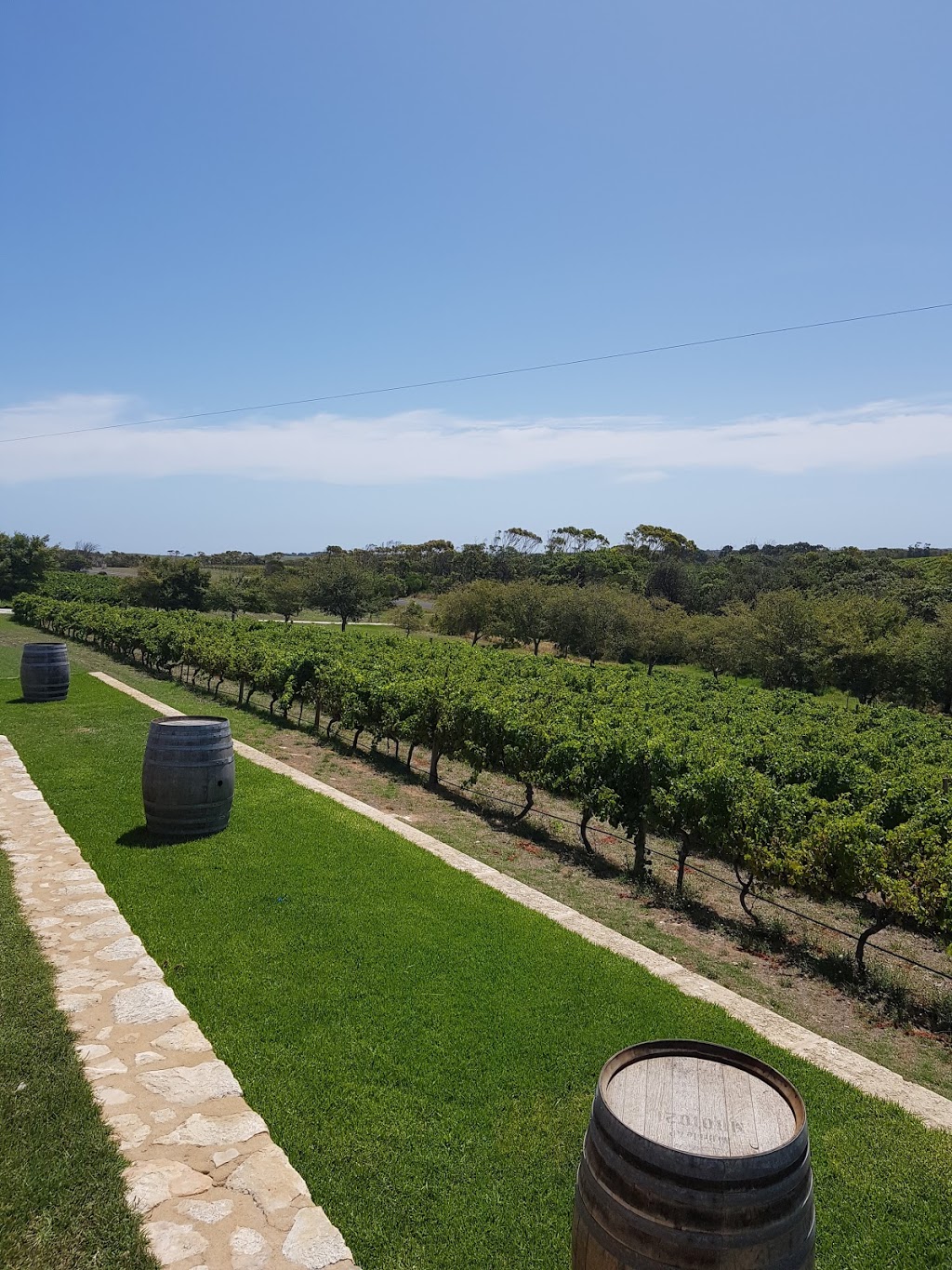 Cape Jaffa Wines | food | 459 Limestone Coast Rd, Mount Benson SA 5276, Australia | 0887685053 OR +61 8 8768 5053