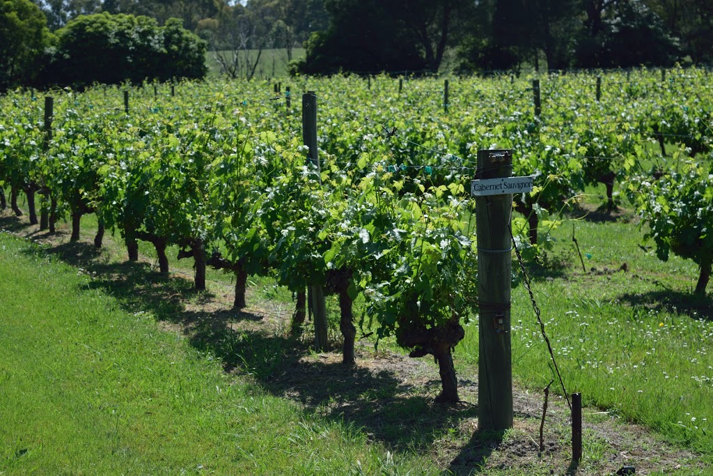 Wantirna Estate Vineyard | 8 Bushy Park Ln, Wantirna South VIC 3152, Australia | Phone: (03) 9801 2367