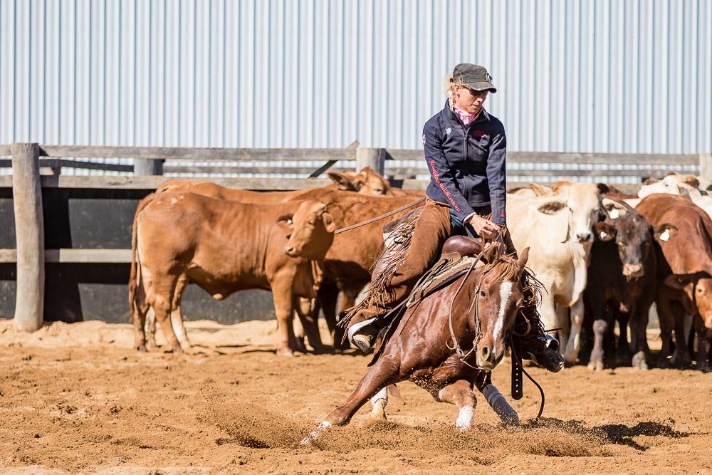 JR Cutting & Performance Horses | 682 Old Mount Beppo Rd, Toogoolawah QLD 4313, Australia | Phone: 0432 411 257