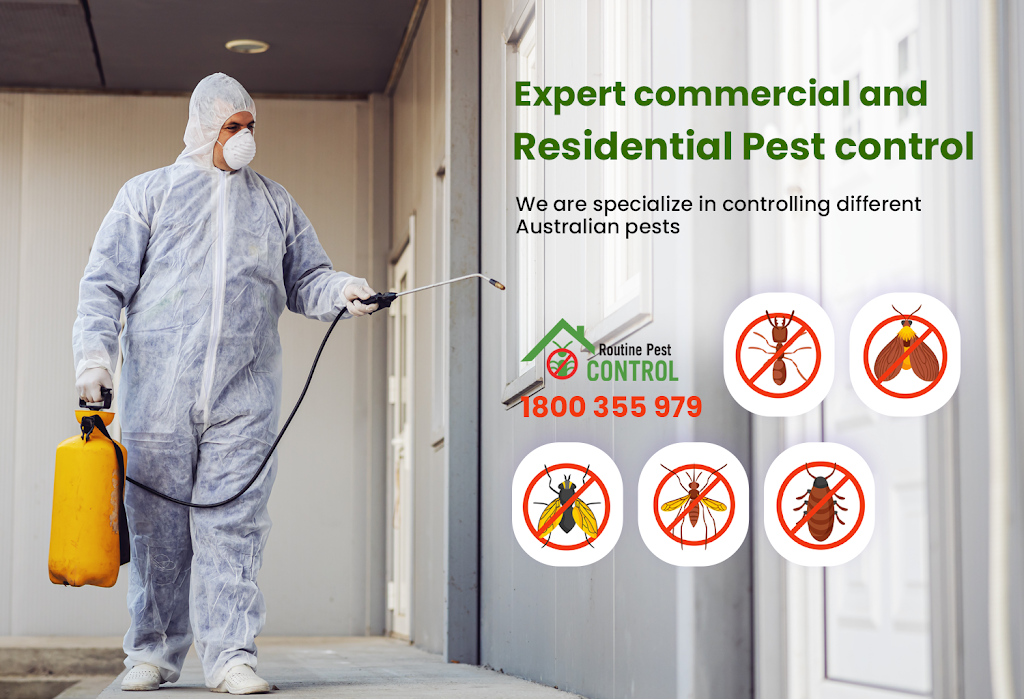 Routine Pest Control | home goods store | 11-15 Nelson St, Penshurst NSW 2222, Australia | 1800355979 OR +61 1800 355 979