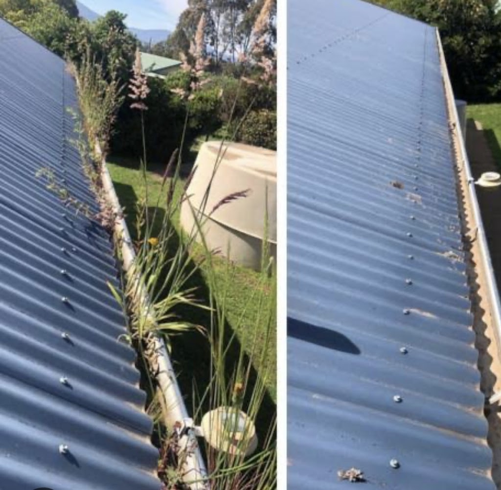 The Water Wizz | 11 Haigh Cl, Berkeley Vale NSW 2261, Australia | Phone: 0414 443 591