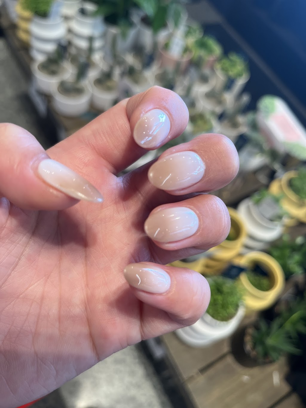 Bloomie Nail | 37/59 Eggersdorf Rd, Ormeau QLD 4208, Australia | Phone: (07) 5546 2657 Bloomie Nail | 37/59 Eggersdorf Rd, Ormeau QLD 4208, Australia | Phone: (07) 5546 2657