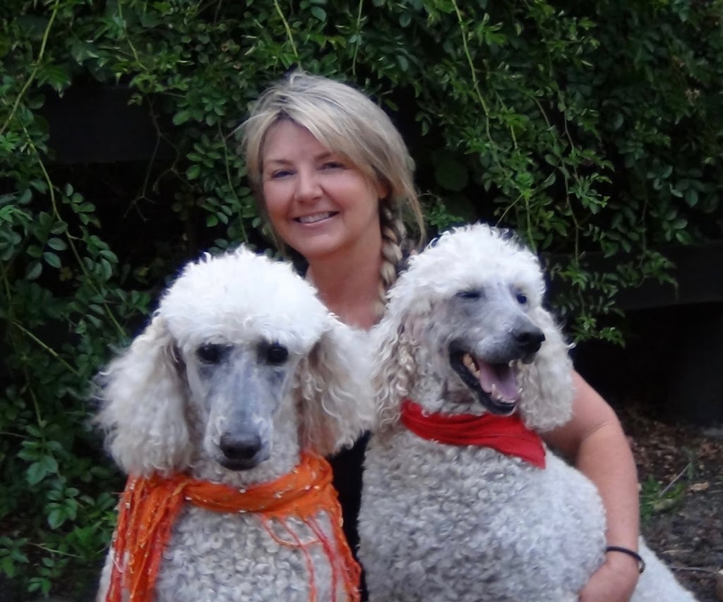 Gramayre Groodles and Poodles | 180 Fords Outlet Rd, Deans Marsh VIC 3235, Australia | Phone: 0448 528 000