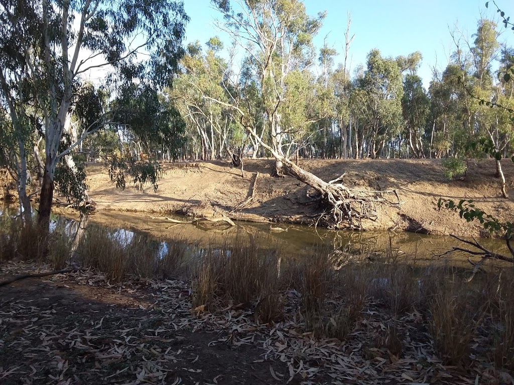 Campaspe River Reserve | Rochester VIC 3561, Australia