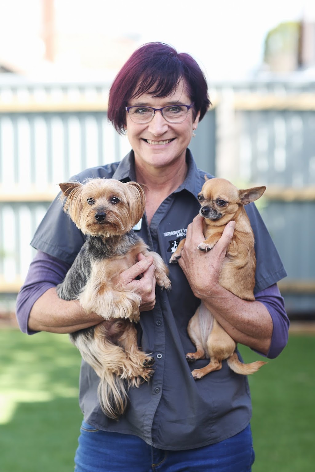 Canterbury Veterinary Clinic & Hospital - Dr Lynda Bonning | veterinary care | 721 Canterbury Rd, Surrey Hills VIC 3127, Australia | 0398362708 OR +61 3 9836 2708