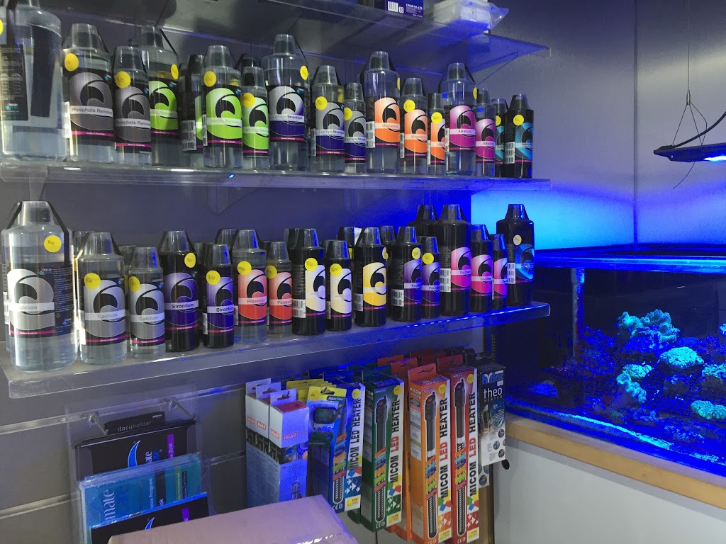 Aquariums at Asquith | Wattle St, Asquith NSW 2077, Australia | Phone: 0414 805 431