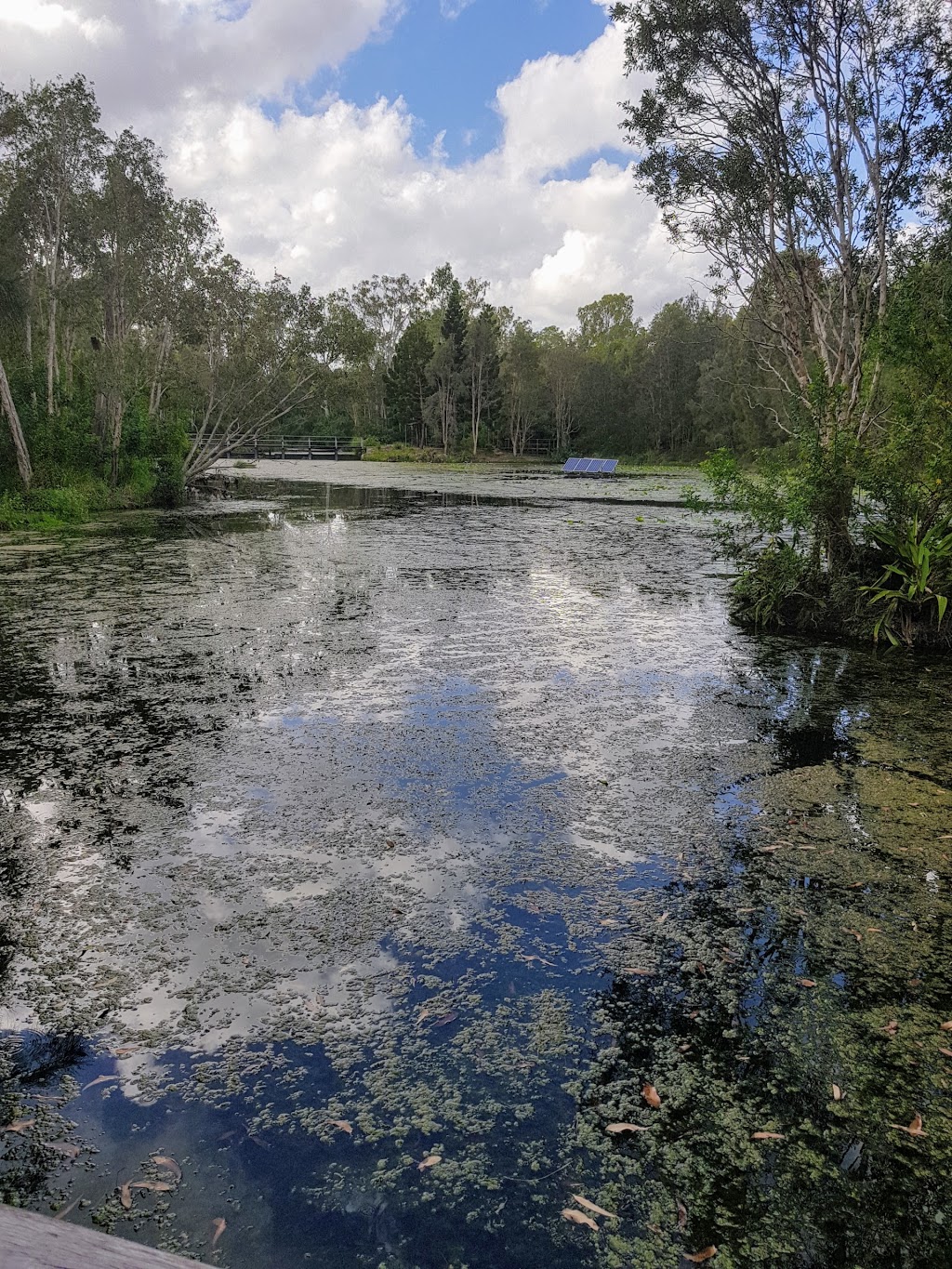 McPherson Road Park | 36 Edenbrooke Dr, Seventeen Mile Rocks QLD 4073, Australia | Phone: (07) 3403 8888