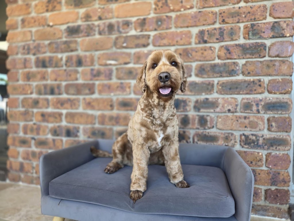 Botanipaws Spa | 122 Alstonvale Rd, Alstonvale NSW 2477, Australia | Phone: 0477 006 431