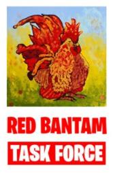 Red Bantam Rags | Unit 5/626 Dallinger Rd, Lavington NSW 2640, Australia | Phone: 0447 918 763