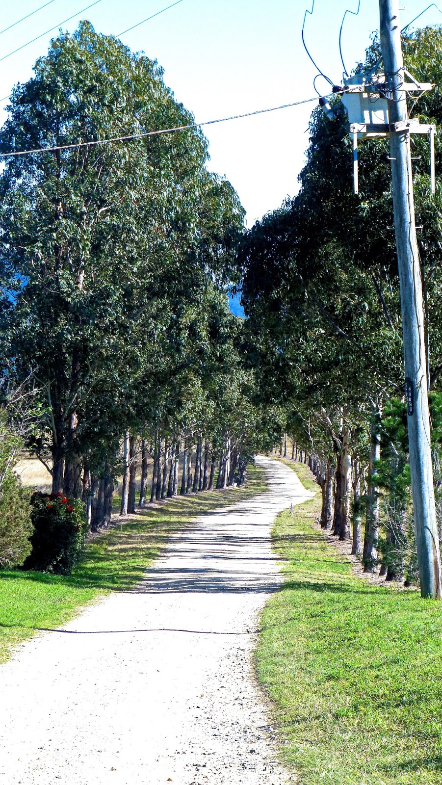 Lillydale Natural Angus Beef | LOT 2 Mount Barney Rd, Barney View QLD 4287, Australia | Phone: (07) 5544 3131