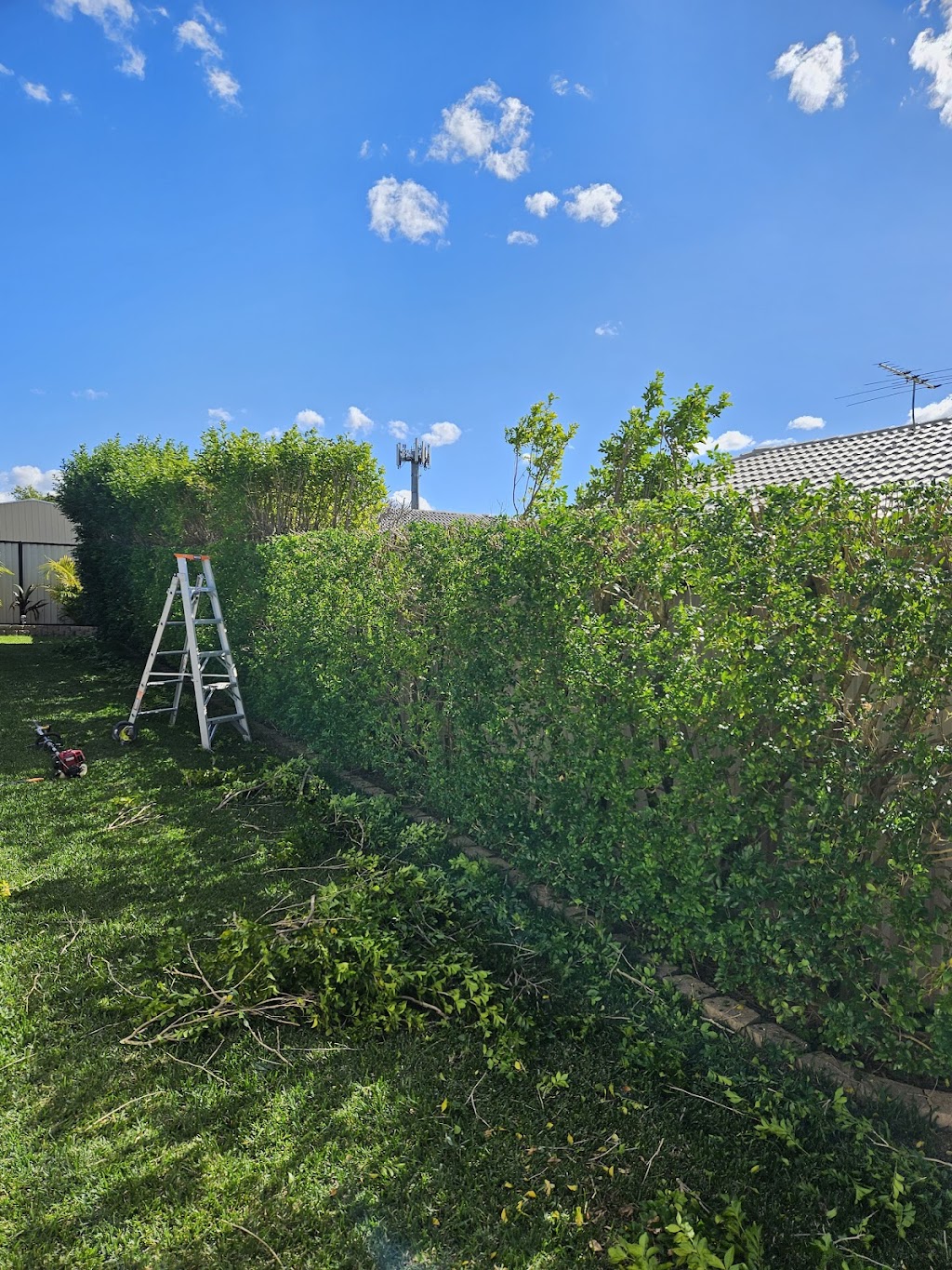 Steves Lawn and Property Care Pty Ltd | 25 Nanbaree Dr, Bray Park QLD 4500, Australia | Phone: 0426 961 675