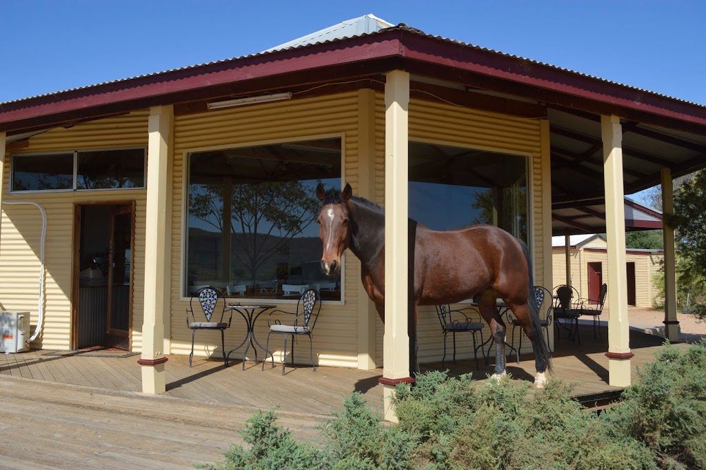 Eldee Station | campground | 2886 Wilangee Rd, Silverton NSW 2880, Australia | 0880912578 OR +61 8 8091 2578