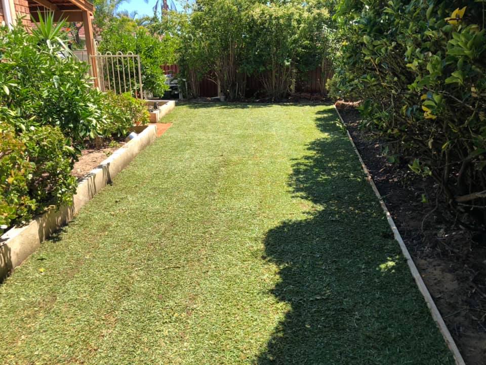 Daves Gardening and Handyman Services | 134 Mornington Cres, Wandi WA 6176, Australia | Phone: 0421 239 471