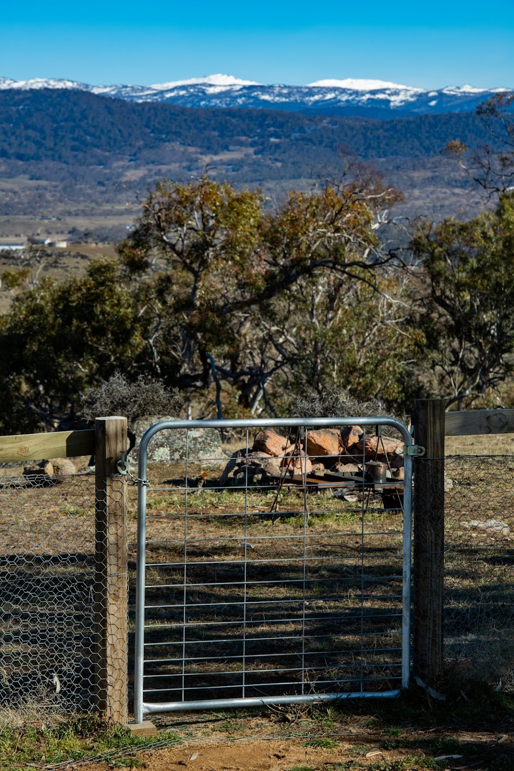 High Ground Estate | 7600 The Snowy River Way, Jindabyne NSW 2627, Australia | Phone: 0499 615 830