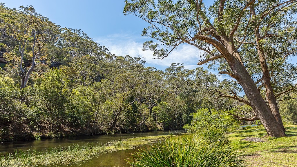 Fig Tree Flat picnic area | park | Royal National Park NSW 2233, Australia