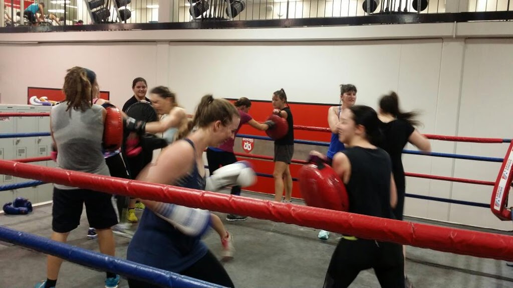 The Boxing Shop | gym | 43 McCarthy Rd, Salisbury QLD 4107, Australia | 1300660017 OR +61 1300 660 017