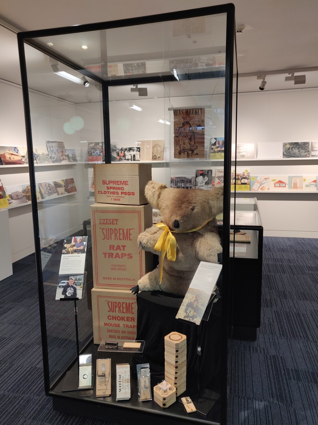 Mascot Library | library | 2 Hatfield St, Mascot NSW 2020, Australia | 0283380313 OR +61 2 8338 0313