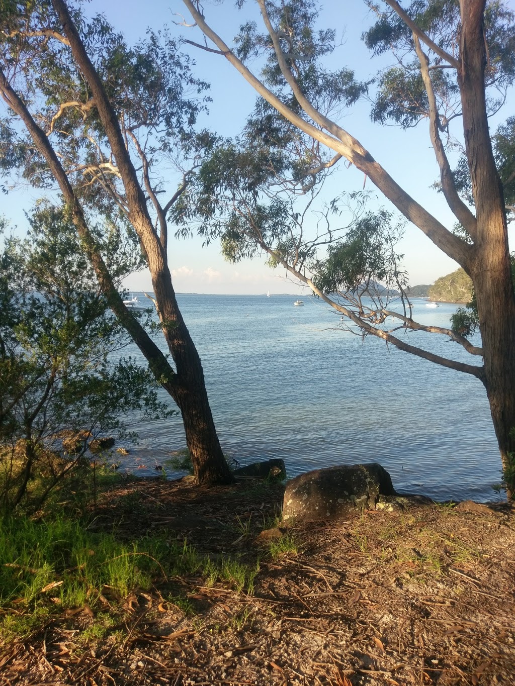 Bagnalls Beach Reserve | 150 Government Rd, Corlette NSW 2315, Australia | Phone: (02) 4980 0255