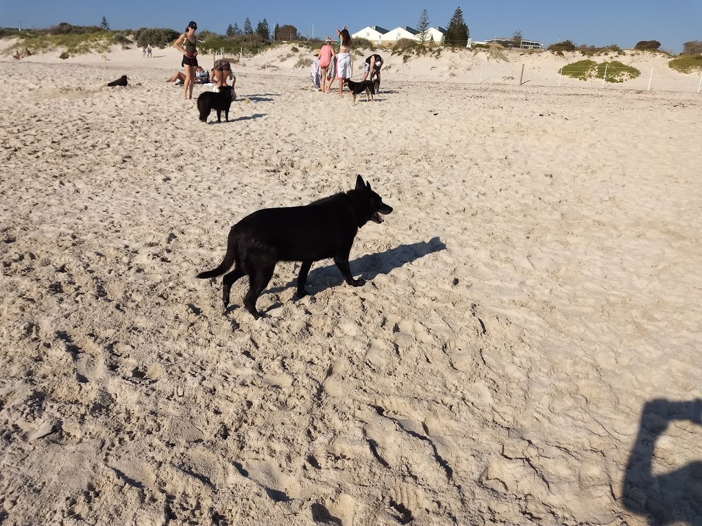 Mosman-Leighton Dog beach | gym | North Fremantle WA 6159, Australia