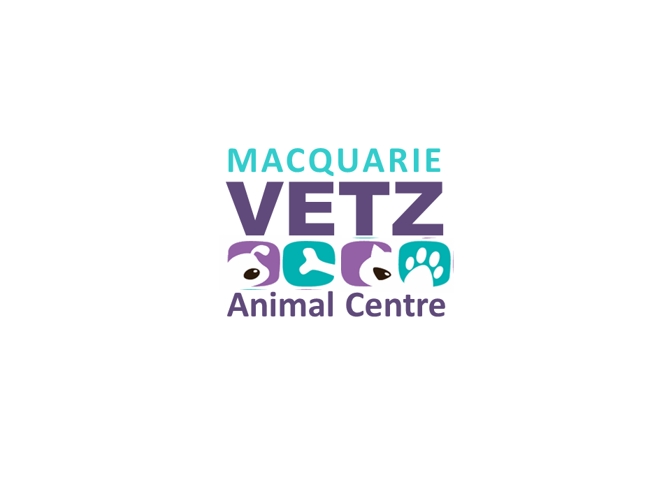 Macquarie Vetz Animal Centre | 194 Macquarie Rd, Warners Bay NSW 2282, Australia | Phone: (02) 4956 7719