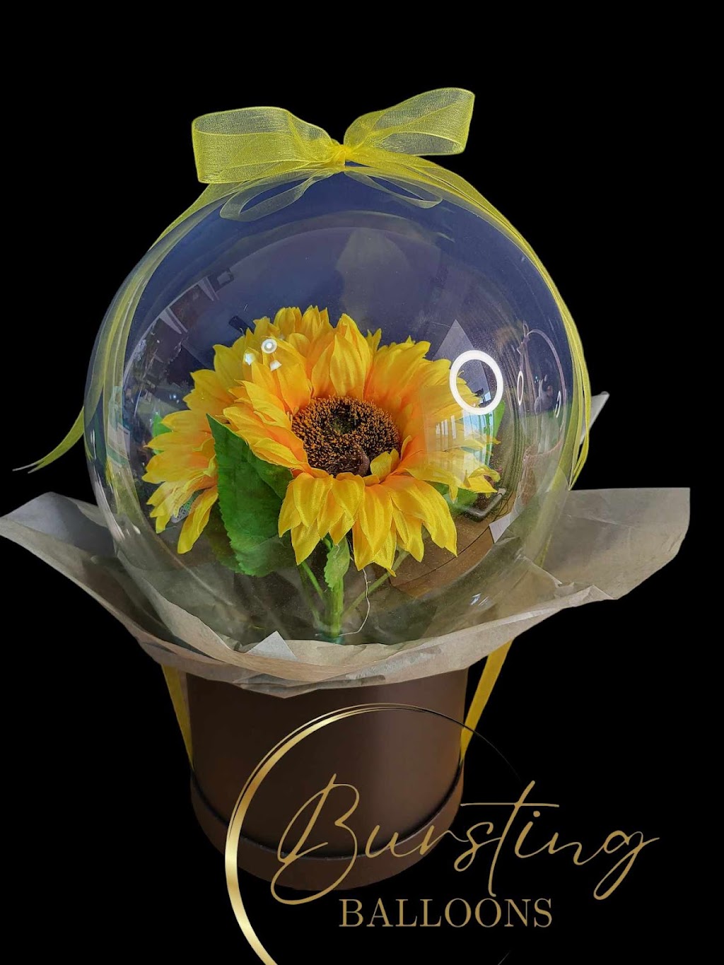 Bursting Balloons | 38 Statesman Dr, Kurunjang VIC 3337, Australia | Phone: 0411 832 772