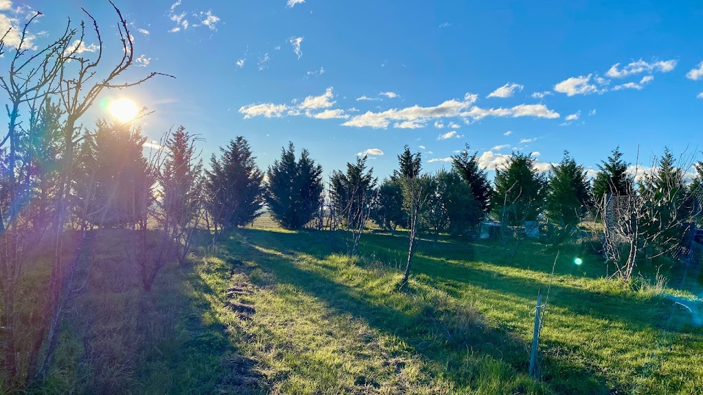 Kathmandu Farmstay | 23 Station St, Brewongle NSW 2795, Australia | Phone: 0452 220 178