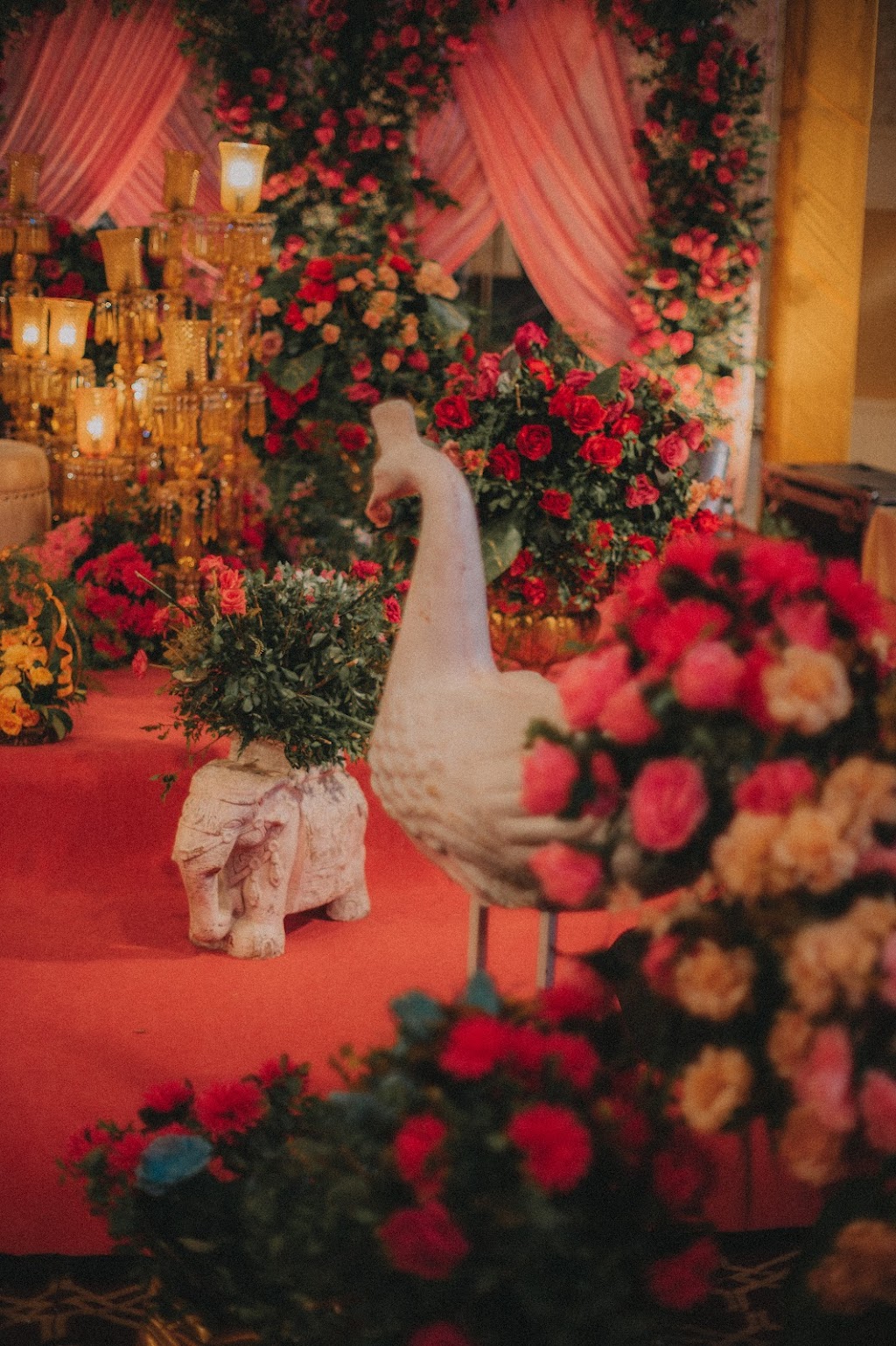 Tayyab Azhar Photography | 1 McArthur Cl, Armidale NSW 2350, Australia | Phone: 0421 301 600