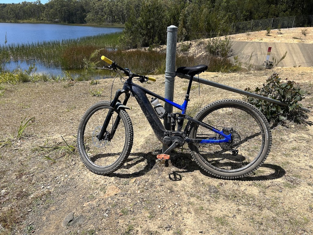 Ride Mogo | 14 Charles St, Mogo NSW 2536, Australia | Phone: (02) 6106 9596