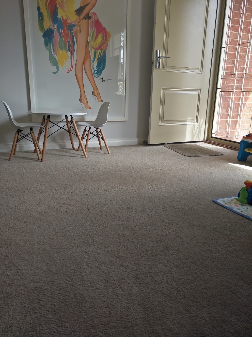 Hot and Steamy Carpet Cleaning - Melbourne | laundry | 3/196 North Rd, Brighton East VIC 3187, Australia | 1300008255 OR +61 1300 008 255