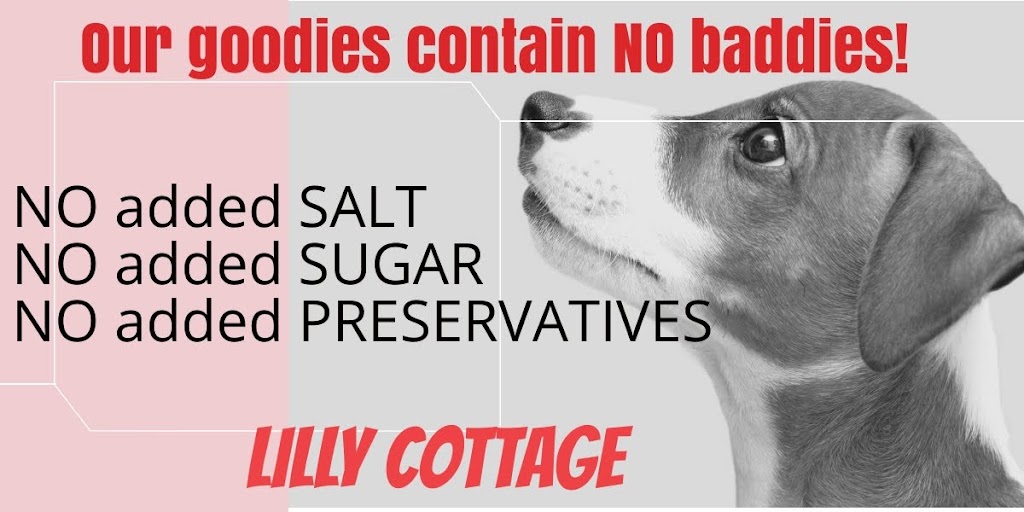 Lilly Cottage | 67 Stafford St, Booval QLD 4304, Australia | Phone: 0406 274 912