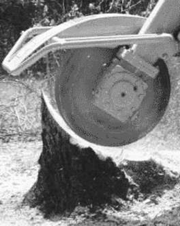 Stump Grinding by Nodez | park | 81 Neil Rd, Maryborough West QLD 4650, Australia | 0417761492 OR +61 417 761 492