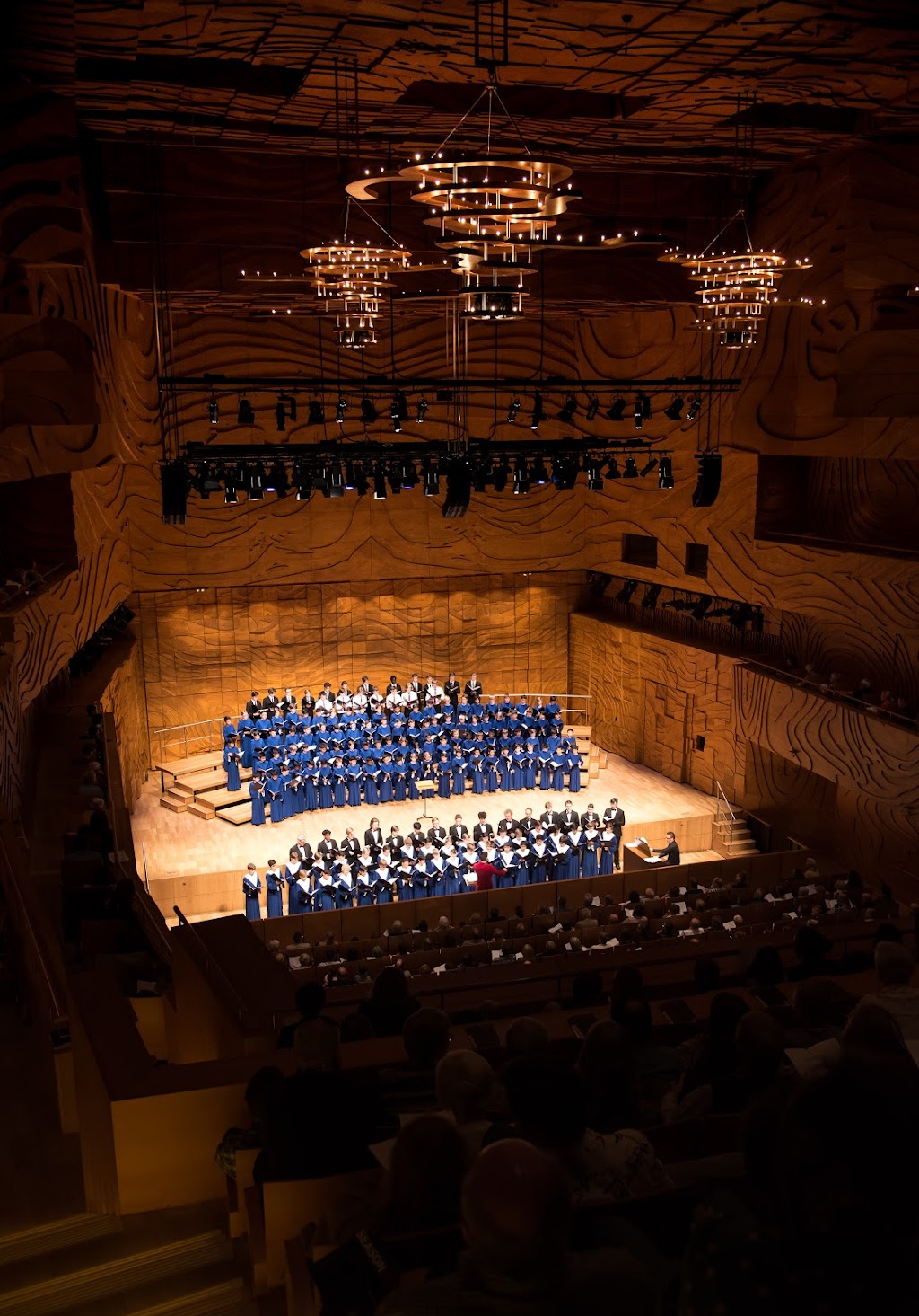 Australian Boys Choir | school | 3C Hepburn St, Hawthorn VIC 3122, Australia | 0398184818 OR +61 3 9818 4818