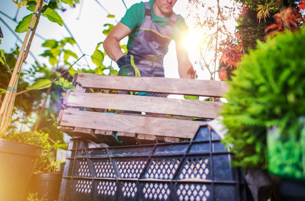 Garbage Guts Bin Hire | 103 Tooradin Station Rd, Tooradin VIC 3980, Australia | Phone: 1800 009 577