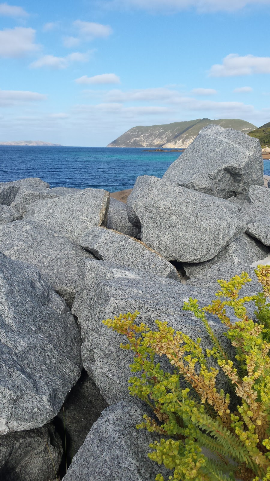 Albanys Historic Whaling Station at Discovery Bay | museum | 81 Whaling Station Rd, Torndirrup WA 6330, Australia | 0898444021 OR +61 8 9844 4021