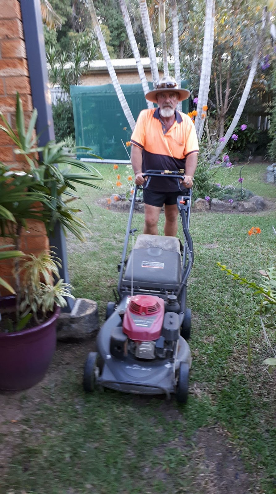 Mark wilton mowing | 31 Central Ave, Wamuran QLD 4512, Australia | Phone: 0488 149 806