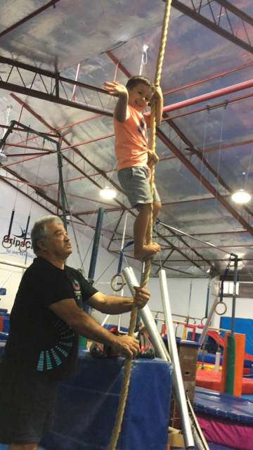 Grips Gymnastics Club | 8-10 Maroondah Hwy, Ringwood VIC 3134, Australia | Phone: (03) 9876 0422