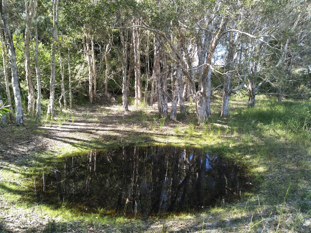 Dubay Nurahm Aboriginal Area | park | Patchs Beach NSW 2478, Australia
