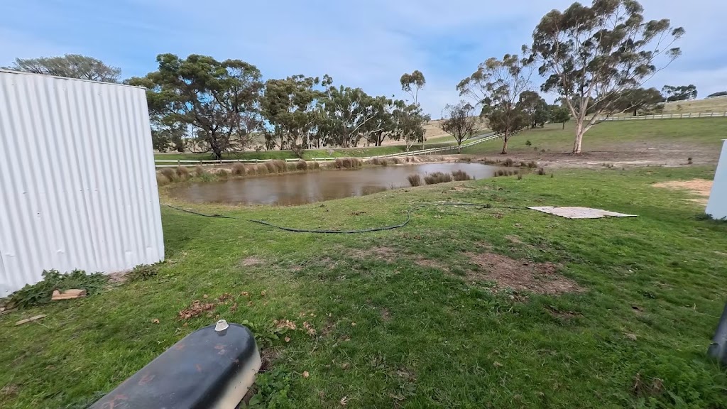 Towts Road Agistment | 270 Towts Rd, Whittlesea VIC 3757, Australia | Phone: 0412 434 104