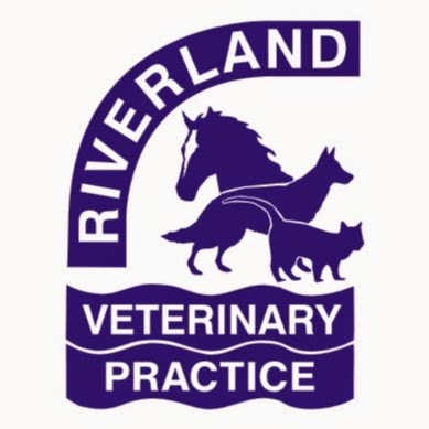 Loxton Veterinary Clinic | veterinary care | 24 Bookpurnong Terrace, Loxton SA 5333, Australia | 0885846617 OR +61 8 8584 6617