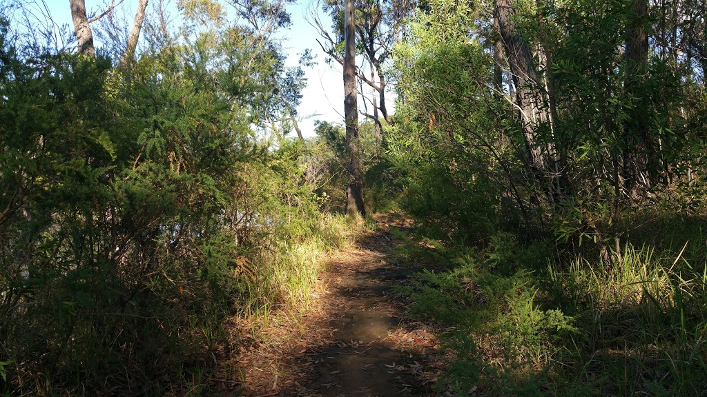 Fishermans Rock | Berrara Creek Walk, Mondayong NSW 2540, Australia