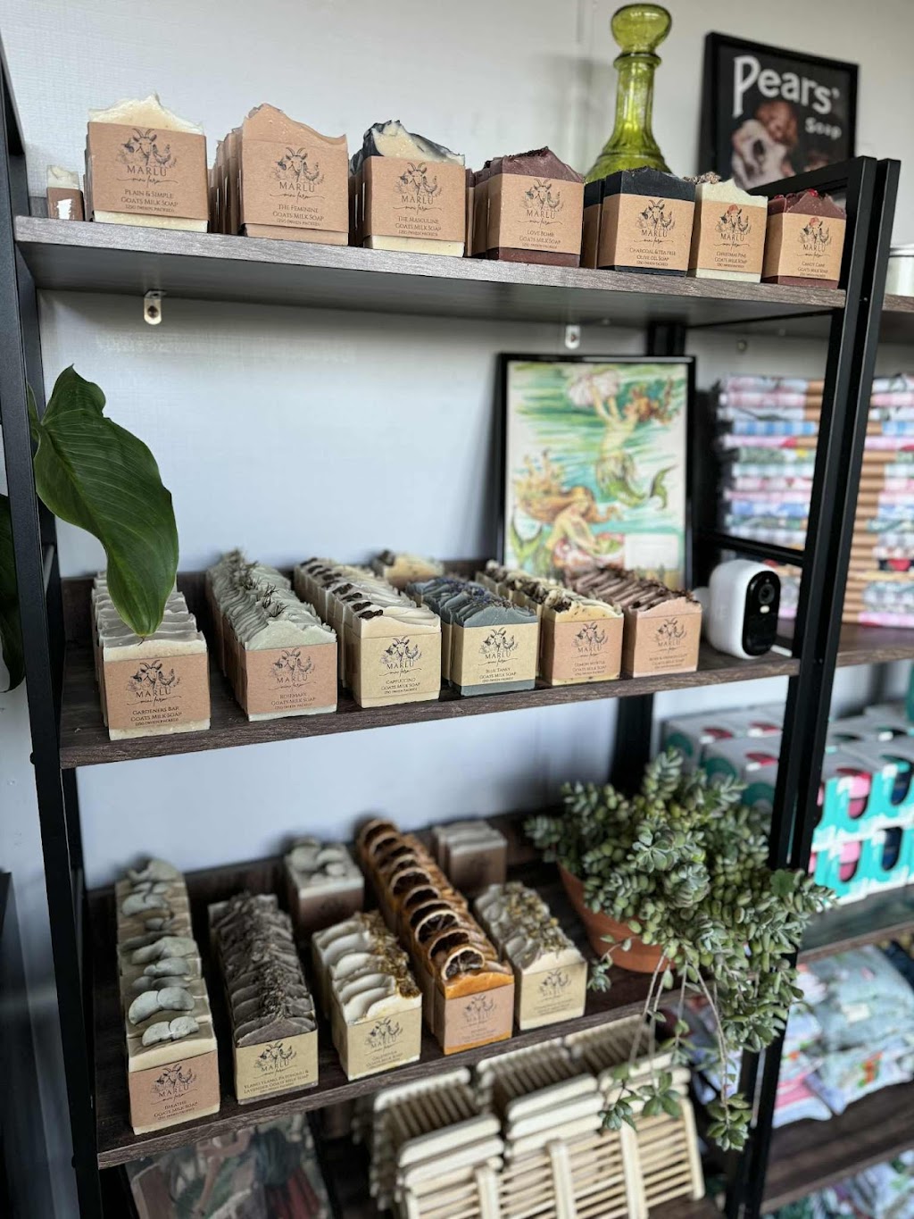 Marlu Mini Farm | 58 Ala Moana Rd, East Kurrajong NSW 2758, Australia | Phone: 0414 298 205