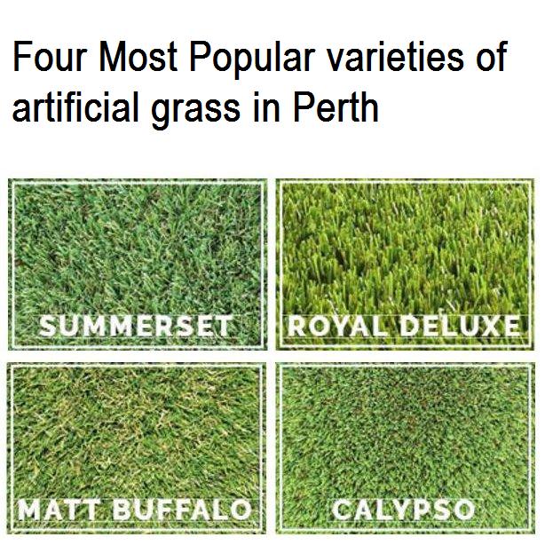 Supa Synthetic Grass | 105 Wattle Ave W, Neerabup WA 6031, Australia | Phone: 0432 802 176