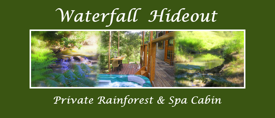 Waterfall Hideout-Rainforest Cabin for Couples | lodging | 368 Zara Rd, Chillingham NSW 2484, Australia | 0490372452 OR +61 490 372 452